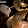 Stereo_20080326_147.jpg